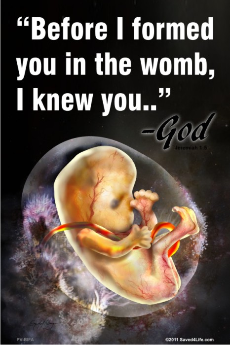 Before I Formed You in the Womb I Knew You